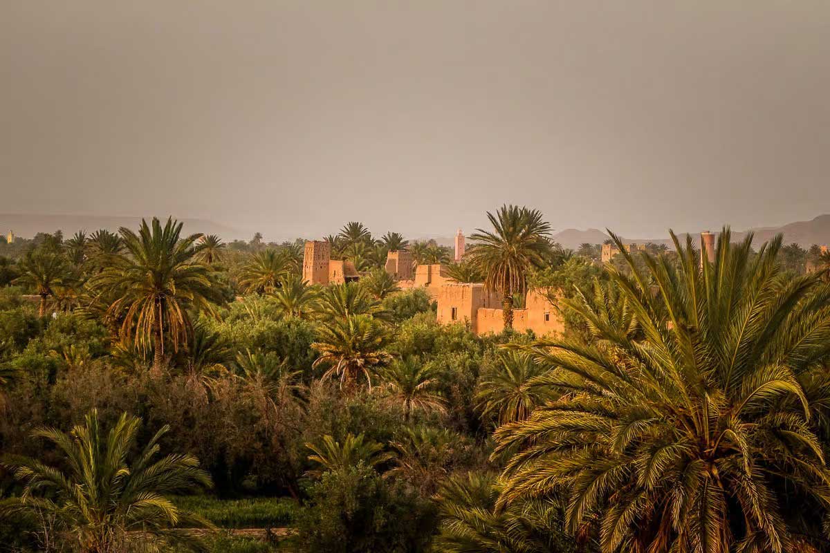 Earthen kasbahs rising from the dense date-palm grove of the Skoura oasis at golden hour on the 4-day Fes to Marrakech desert tour